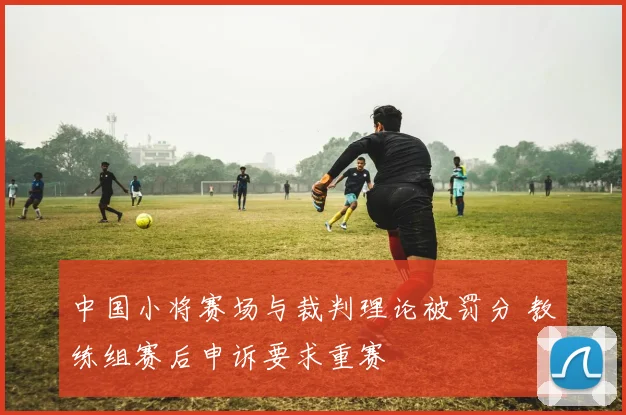 中国小将赛场与裁判理论被罚分 教练组赛后申诉要求重赛